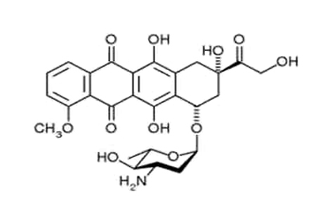 EPIRUBICIN