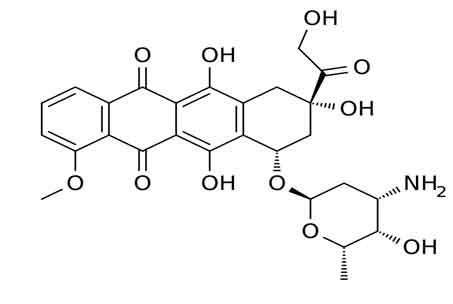 DOXORUBICIN HCL