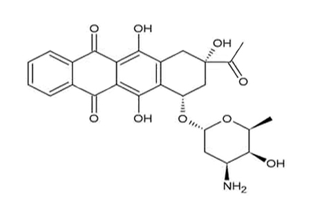 IDARUBICIN